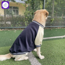 Jaqueta de inverno para cães pequenos e grandes – mantém seu pet aquecido em climas frios