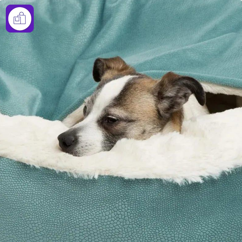 Cama ortopédica para cachorro – ajuda a prevenir dores nas articulações e proporciona descanso confortável