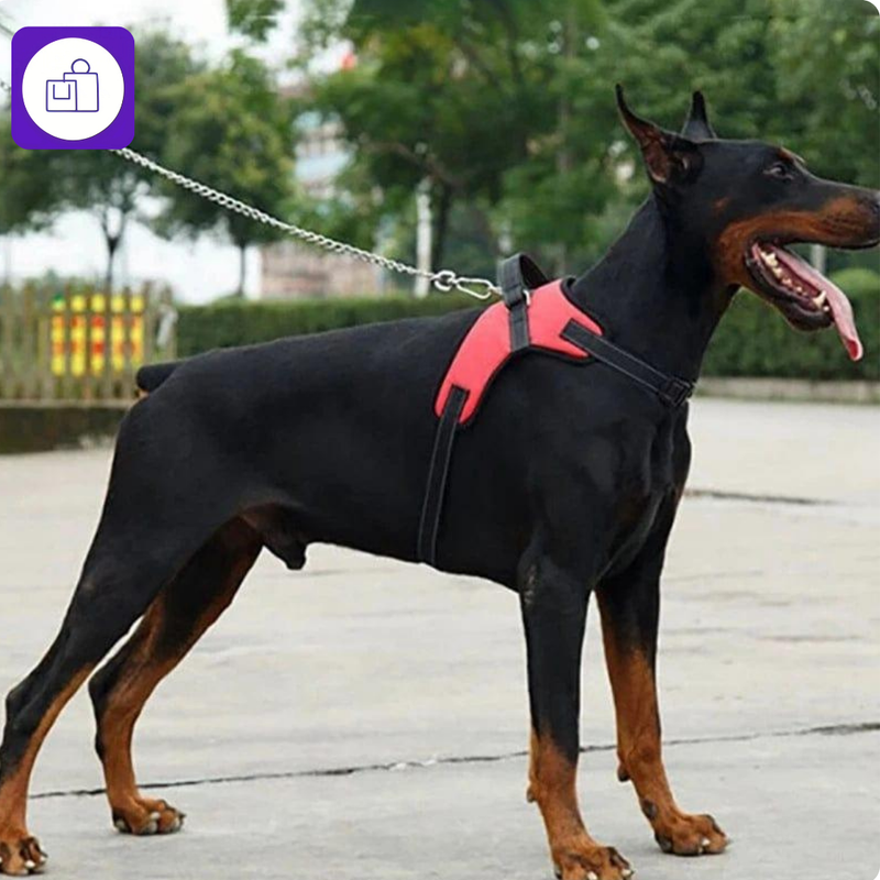 Arnês Ajustável com Coleira Reflexiva para Cães