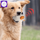 Brinquedo vocal para cachorro – ideal para reduzir o tédio e evitar comportamentos destrutivos