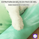 Cama refrescante para gatos – conforto térmico no verão e alívio do calor
