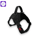 Arnês Ajustável com Coleira Reflexiva para Cães