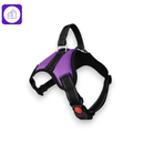 Arnês Ajustável com Coleira Reflexiva para Cães