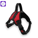 Arnês Ajustável com Coleira Reflexiva para Cães