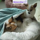 Cama ortopédica para cachorro – ajuda a prevenir dores nas articulações e proporciona descanso confortável